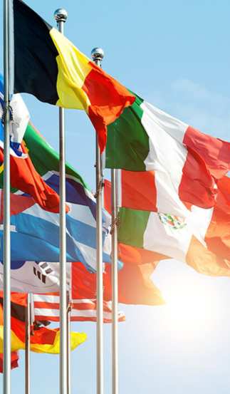 Expandí tu formación. Abrí tu mundo.